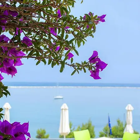 Palace Szálloda Kími